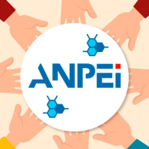 rede-brasil-inovador-anpei-ecossistema-inovacao-startup-esg-ia-aldo-cargnelutti-sebraetec-2