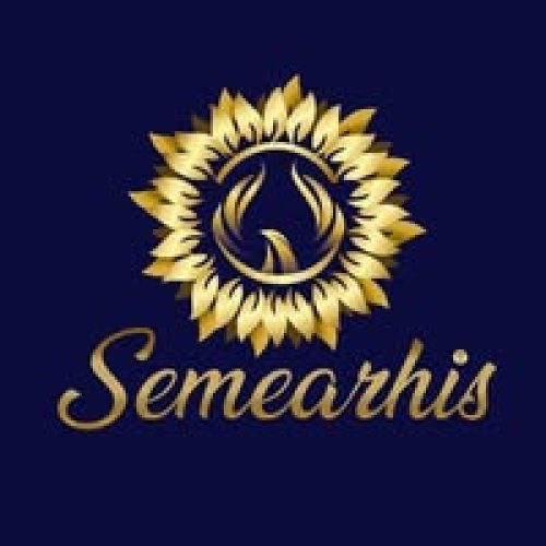 rede-brasil-inovador-semearhis-impacto-social-pcd-startups-rede-brasil-inovacao-midia-kit-publicidade-marketing-agencia-leads-vendas