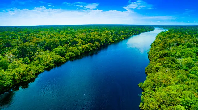 Desafio Bioinovação Amazônia promove webinar sobre ciência, mercado e oportunidades globais para P&D