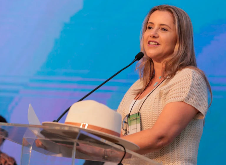 Anprotec apresenta o InovaLink para o Conselho Deliberativo Nacional do Sebrae