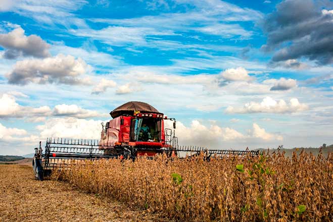 Expodireto Cotrijal: BASF impulsiona o agro gaúcho com soluções integradas e inovação