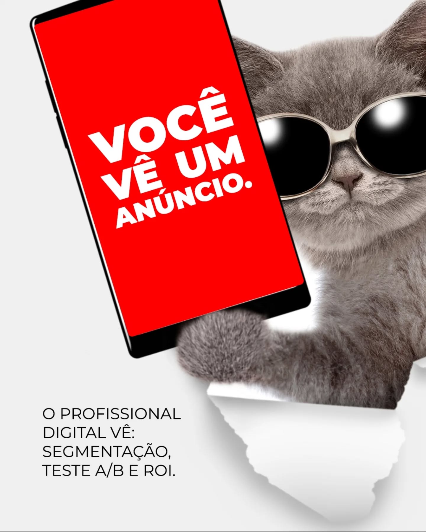 banner anamid 3