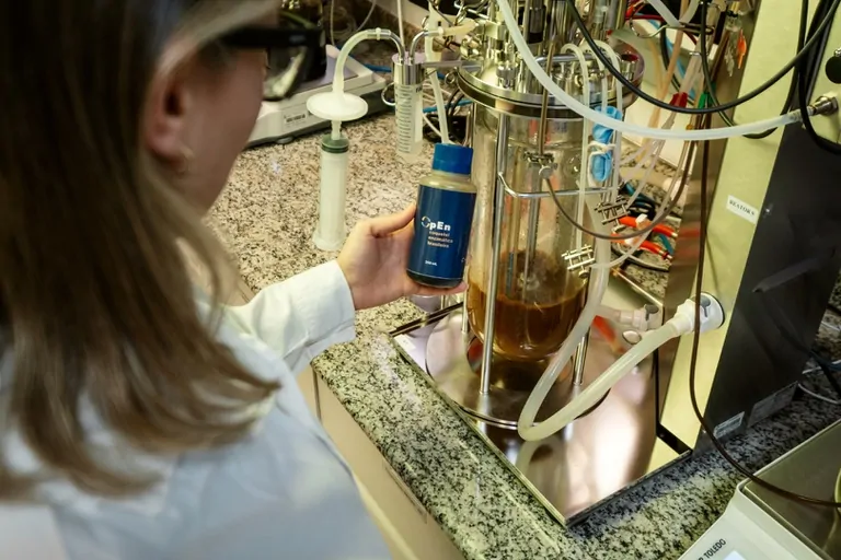 OpEn: coquetel enzimático brasileiro abre caminho para novas soluções em biorrefinarias