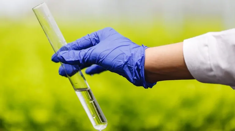 MCTI leva inovação ao 8º Fórum Sul Brasileiro de Biogás e Biometano