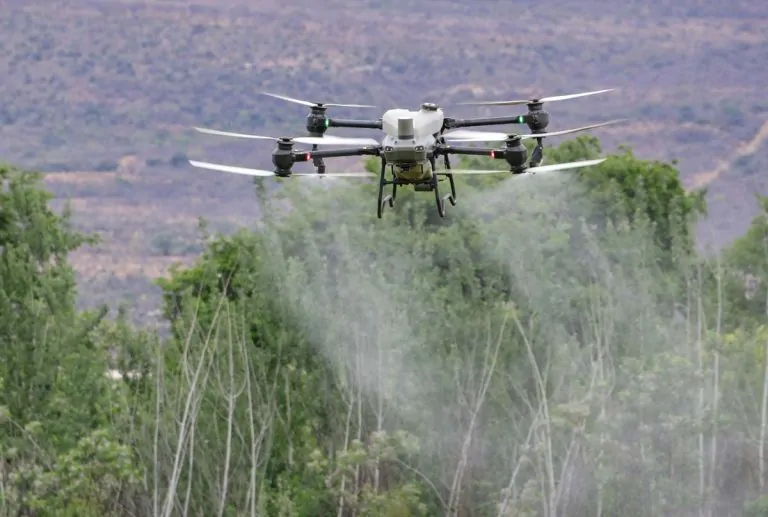 Transformação digital no agro impulsiona AgTechs e atrai fundos de Venture Capital
