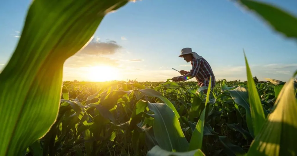 ICAO aprova projeto brasileiro para impulsionar cooperativas agrícolas e pequenos produtores