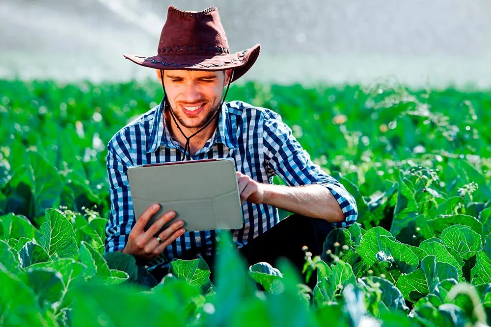brasil inovador agro