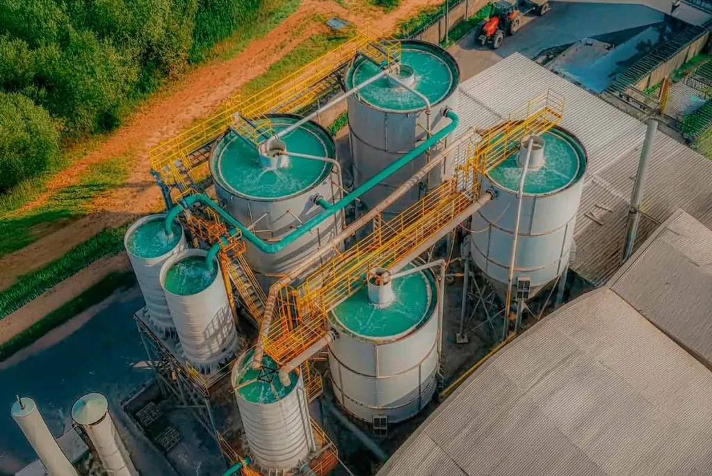 Cerbras inova em transparência ambiental com monitoramento de indicadores em tempo real