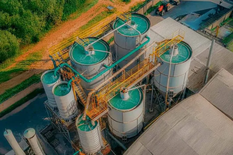 Cerbras inova em transparência ambiental com monitoramento de indicadores em tempo real