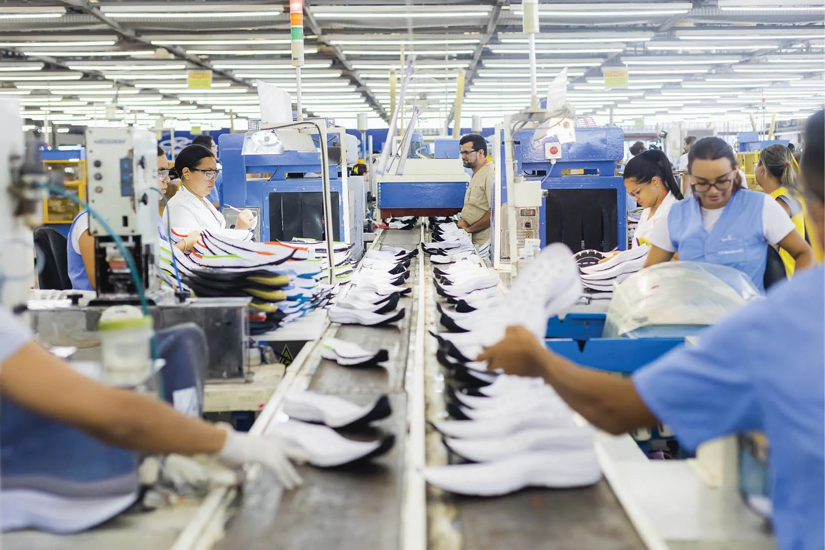 Indústria Calçadista - Inovação, Economia e Negócios 3 brasil inovador industria calcadista
