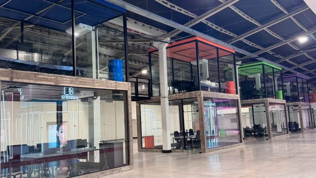 Lions Startups consolida modelo de venture building  e prepara portfólio para captação em semestre recorde
