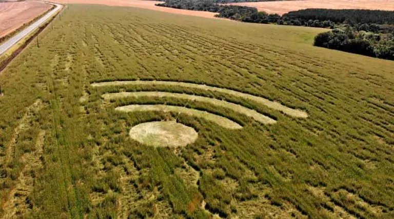 Hughes leva redes privativas ao campo e destaca conectividade na Agrishow 2026