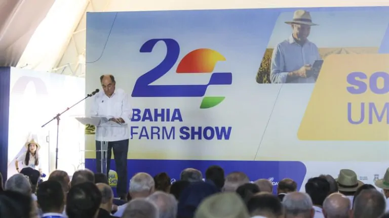 Neoenergia anuncia investimento de R$ 25 bi para modernizar infraestrutura elétrica na Bahia